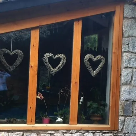 Chalet Pomme De Pin 5 Chambres 12 A 14 Personnes Panzió