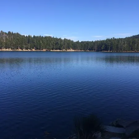 B&B Chalet Pomme De Pin 5 Chambres 12 A 14 Personnes