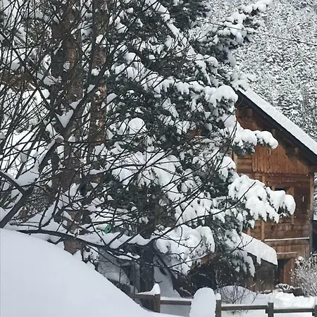 Bed & Breakfast Chalet Pomme De Pin 5 Chambres 12 A 14 Personnes