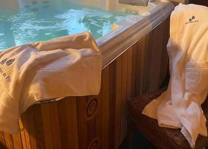 Chalet Pomme De Pin 5 Chambres 12 A 14 Personnes