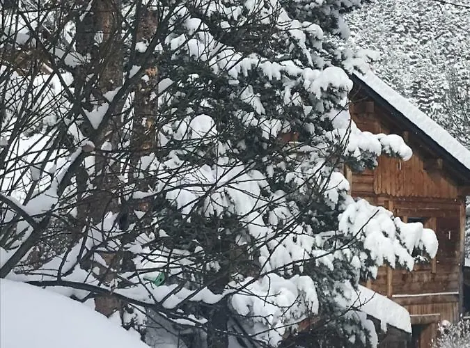 住宿加早餐酒店 Chalet Pomme De Pin 5 Chambres 12 A 14 Personnes