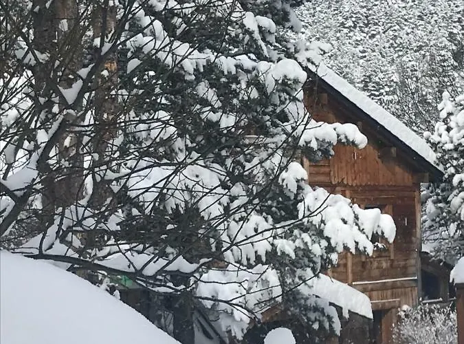 Chalet Pomme De Pin 5 Chambres 12 A 14 Personnes * Formiguères
